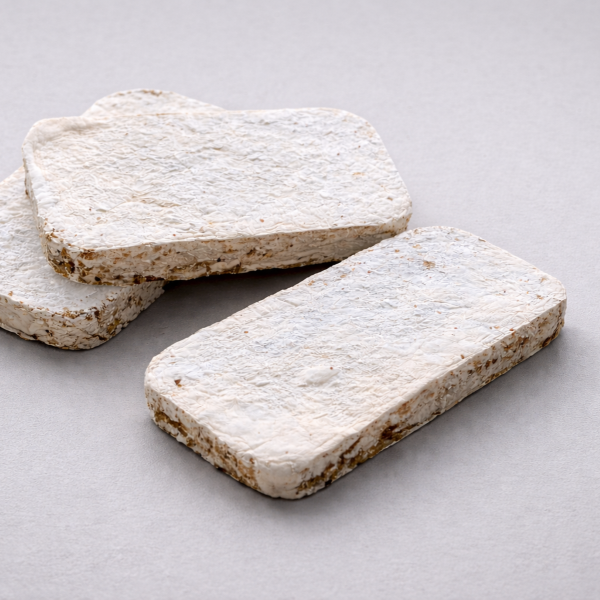 chatgpt image 7 Şub 2026 14 00 31