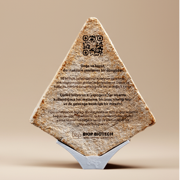 promosyon ocak 2026 s(15)