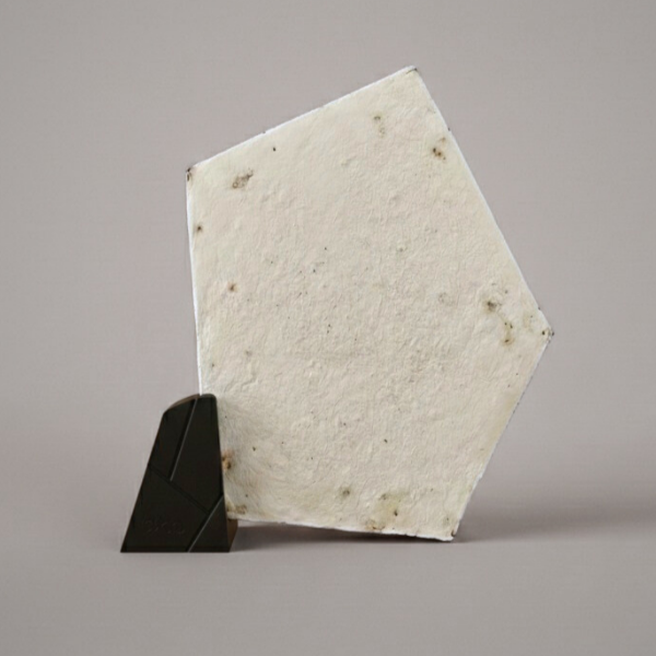 promosyon ocak 2026 (17)