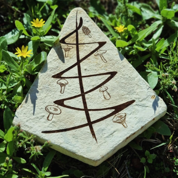 whatsapp image 2025 01 19 at 22.35.52 (1) (kare 600)