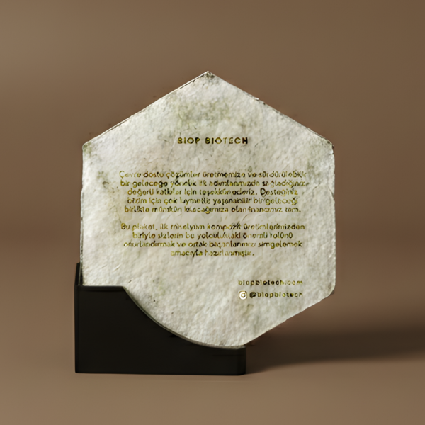 placeholder2 (kare 600)