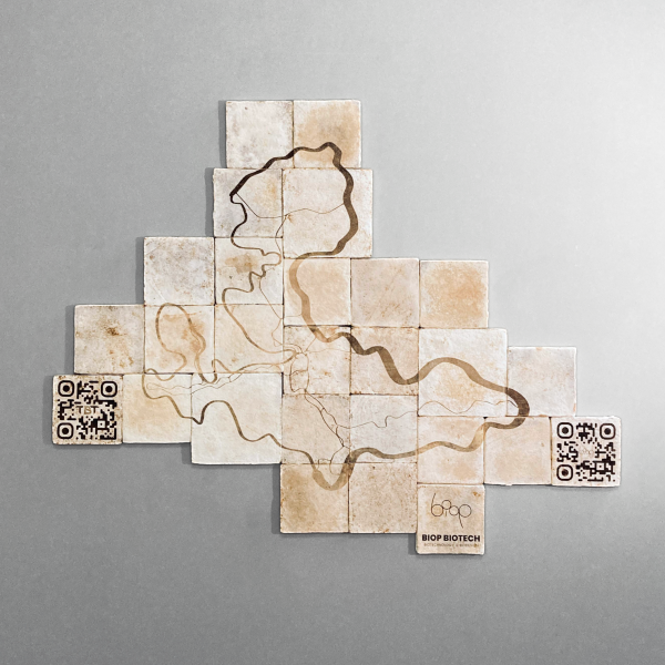 random gorseller dizisi (kare 600)